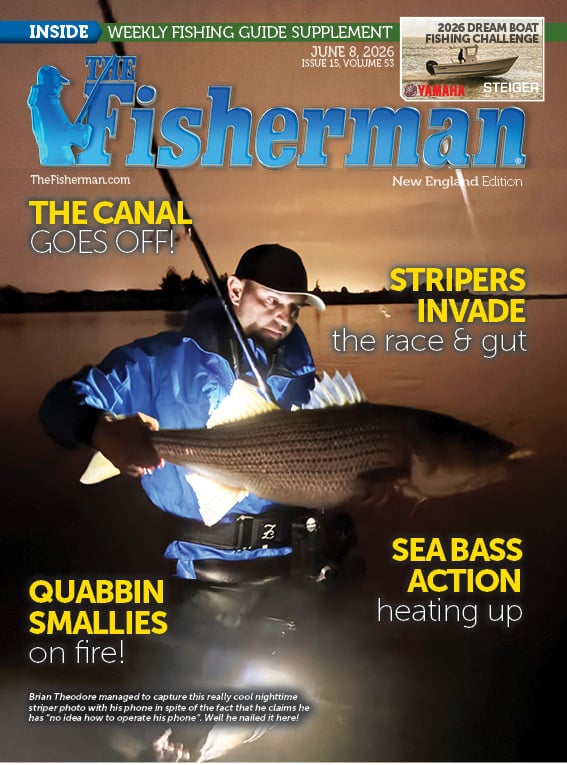issue cover