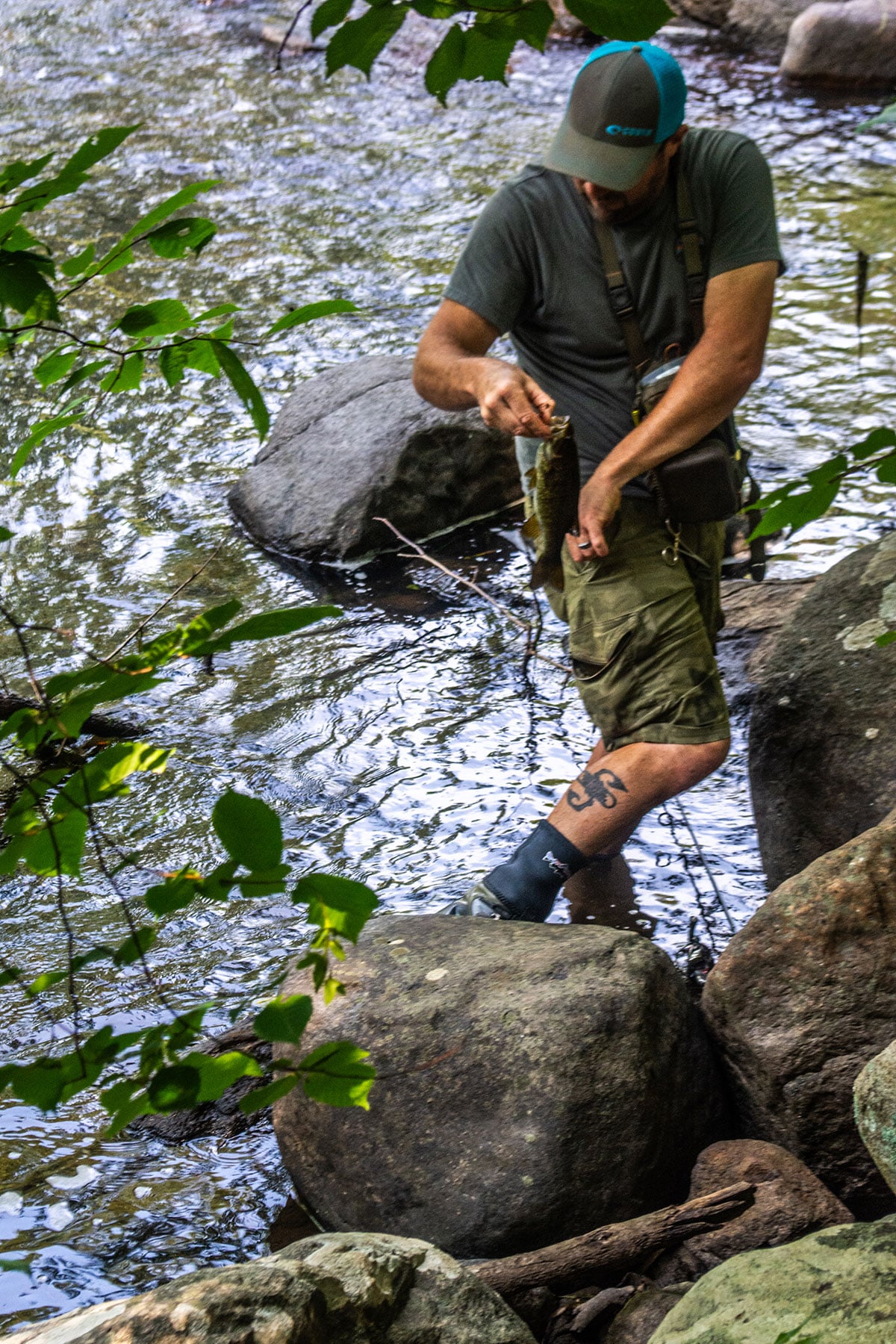 Fisherman-Average-Stream-Bass