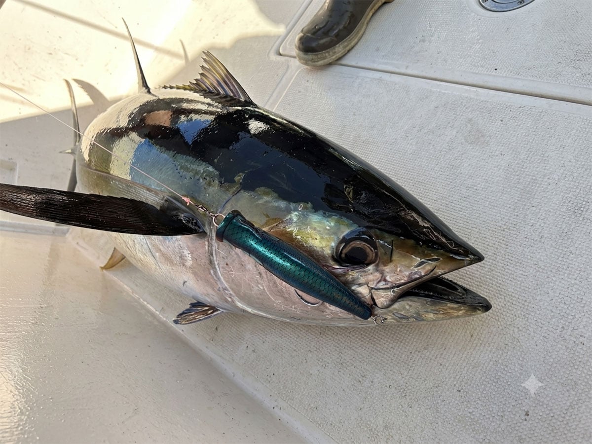 small lure