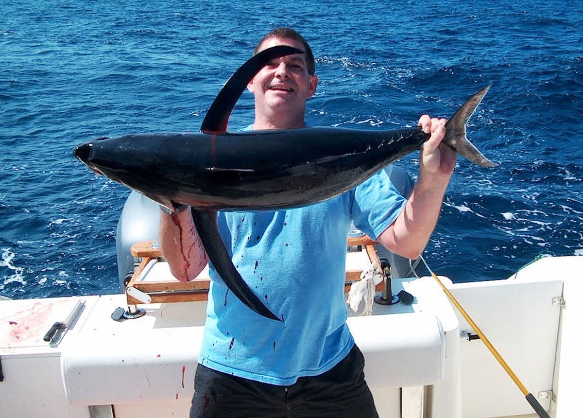albacore