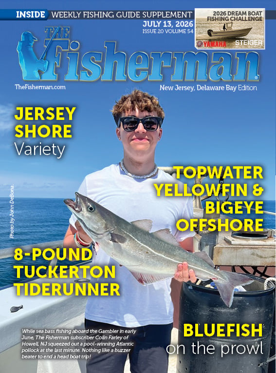 New Jersey Current Issue