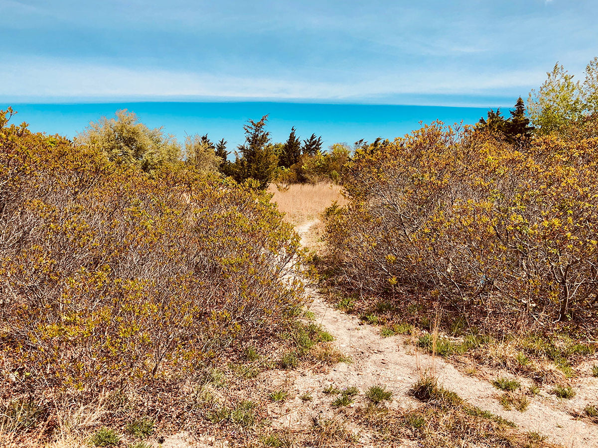 trail