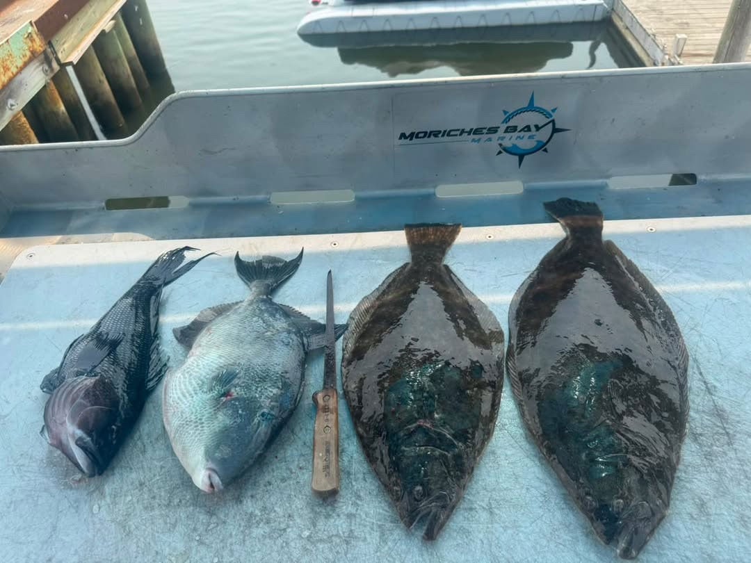 mixed bag