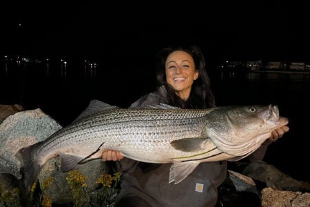 stripers