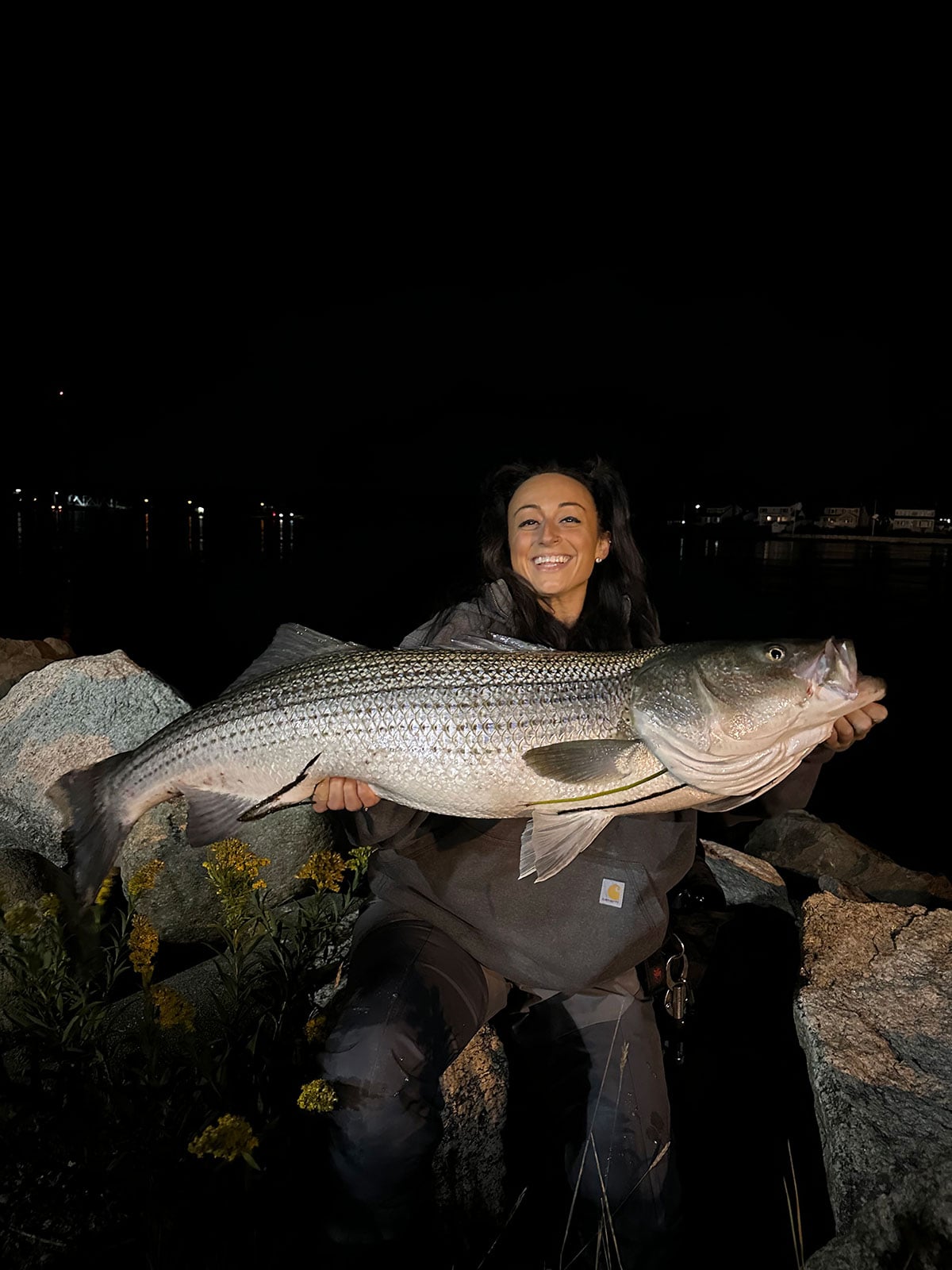 stripers