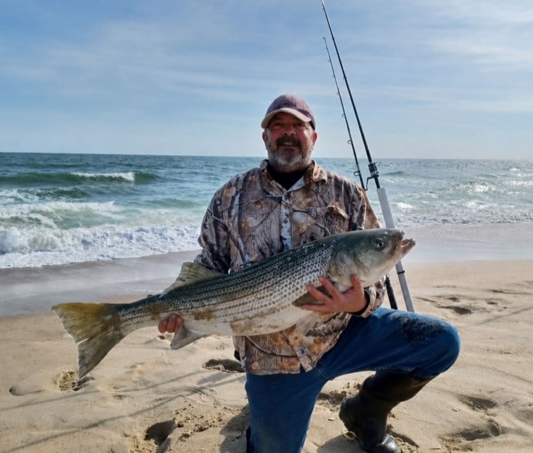 lbi
