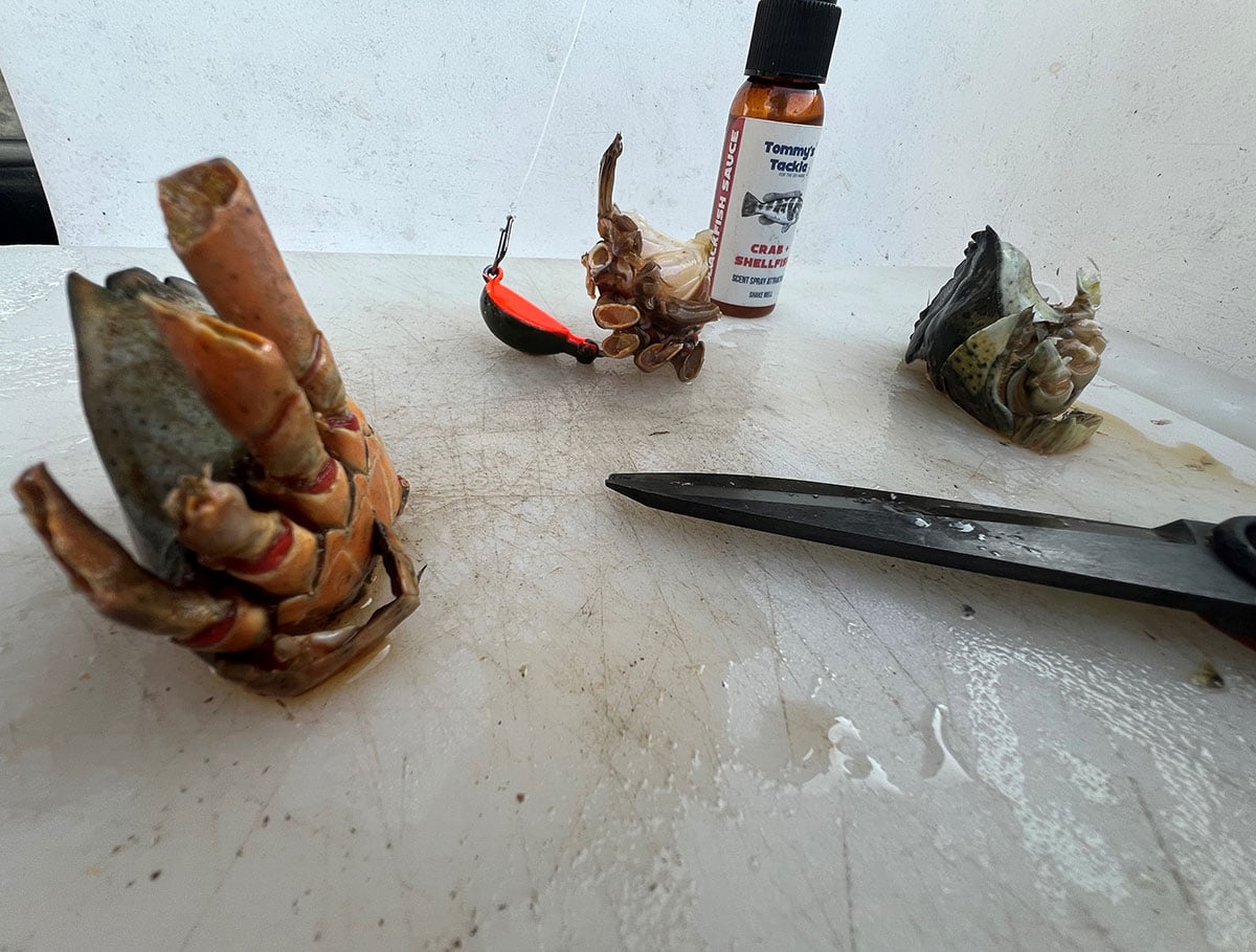 baits