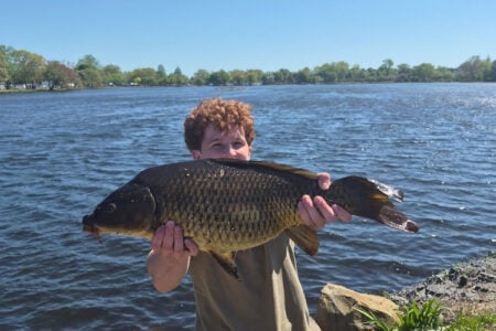 one fish