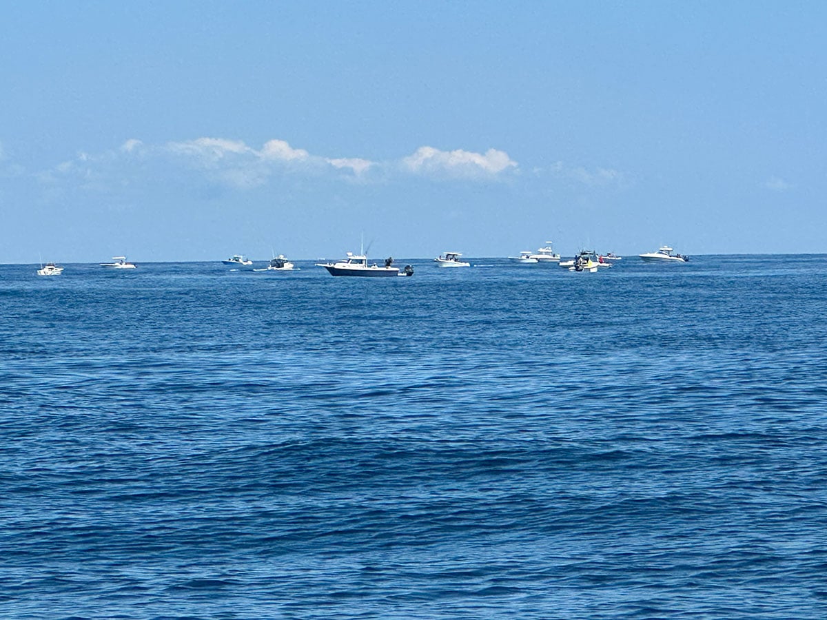 reef