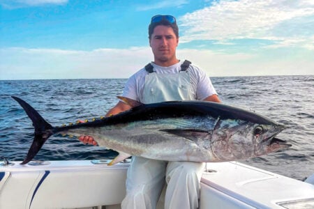 james with bluefin