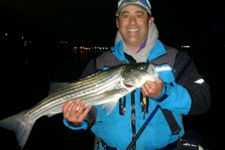 striped bass