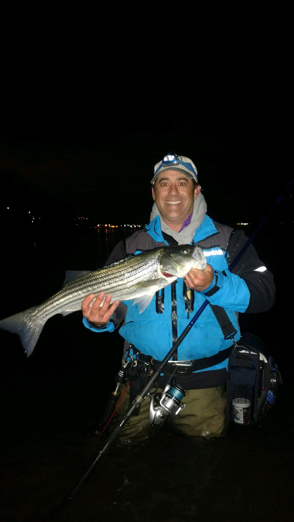 striped bass