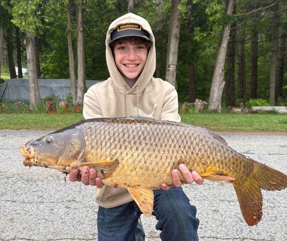 carp