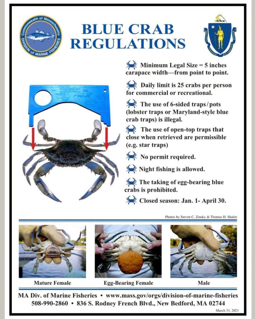 crabs