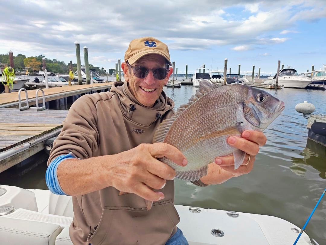 porgy