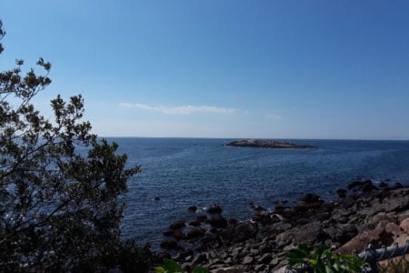rocky areas