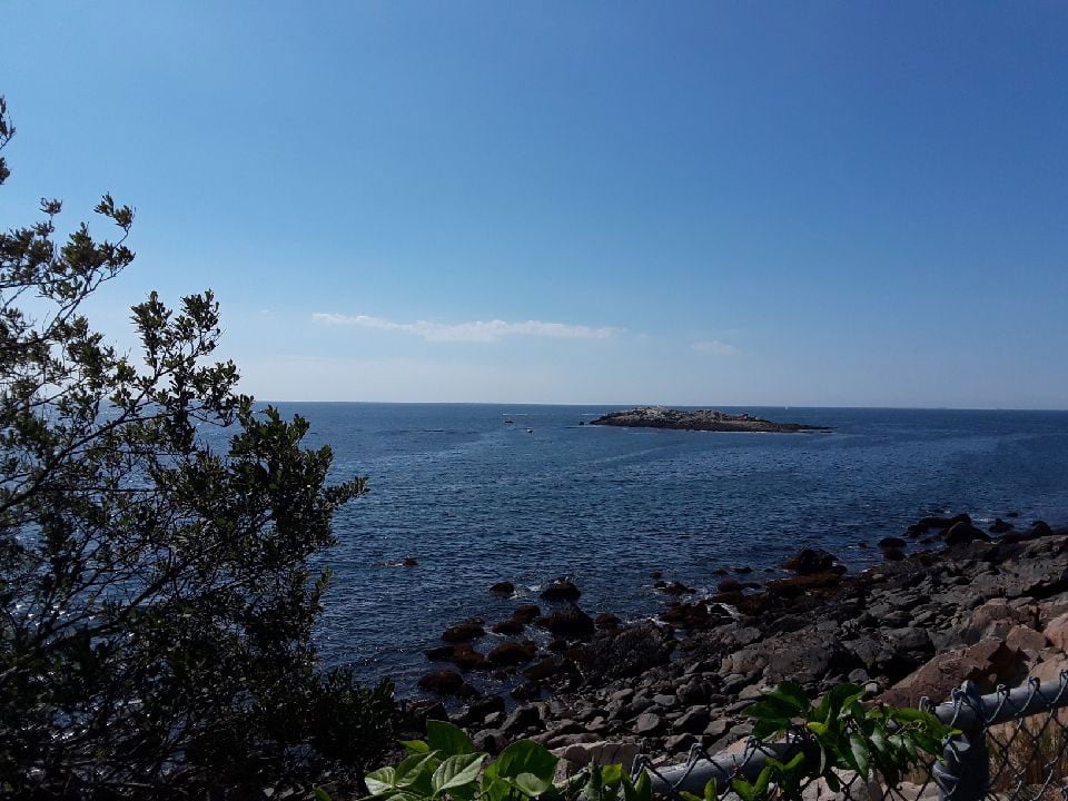 rocky areas