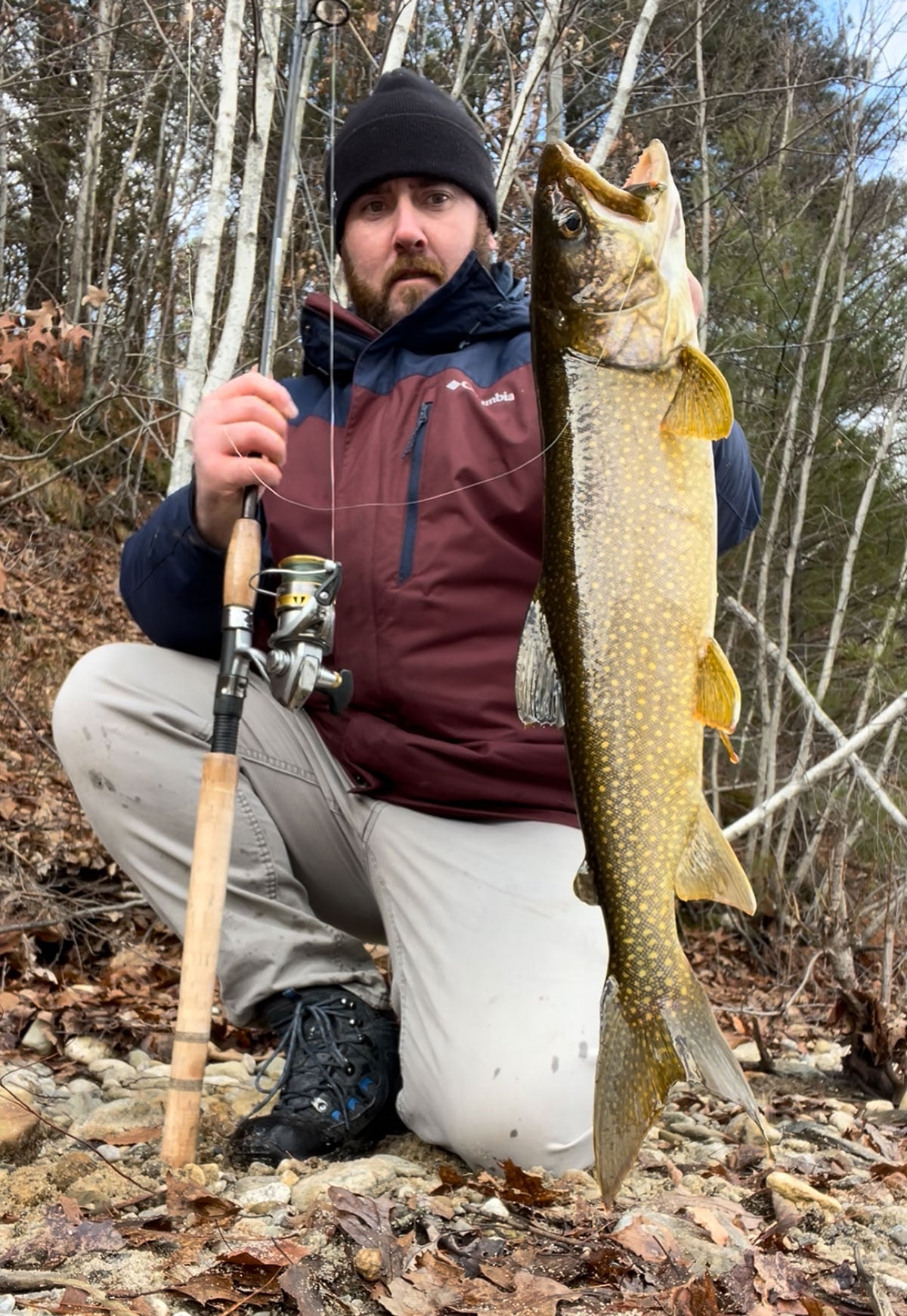 trout