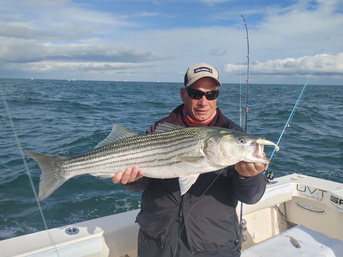 NLBN paddletail