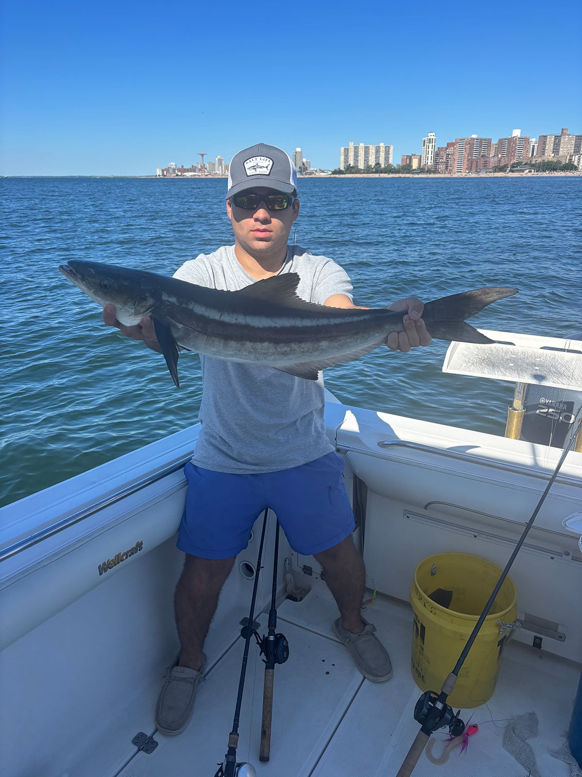 Fredrick Scuteri 