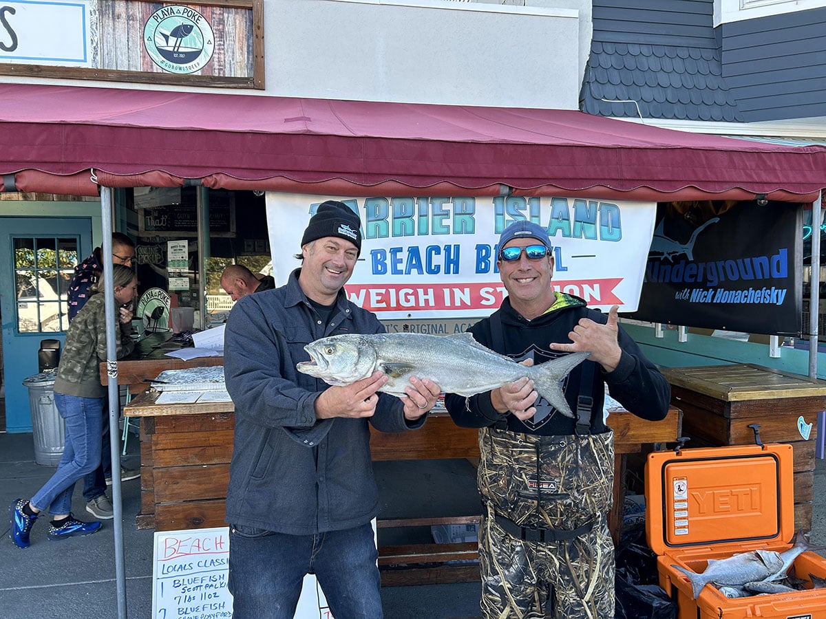 bluefish