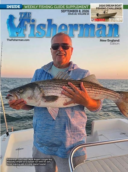 New England Current Issue