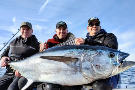bluefin