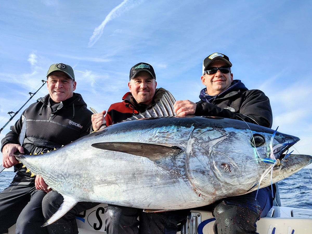 bluefin