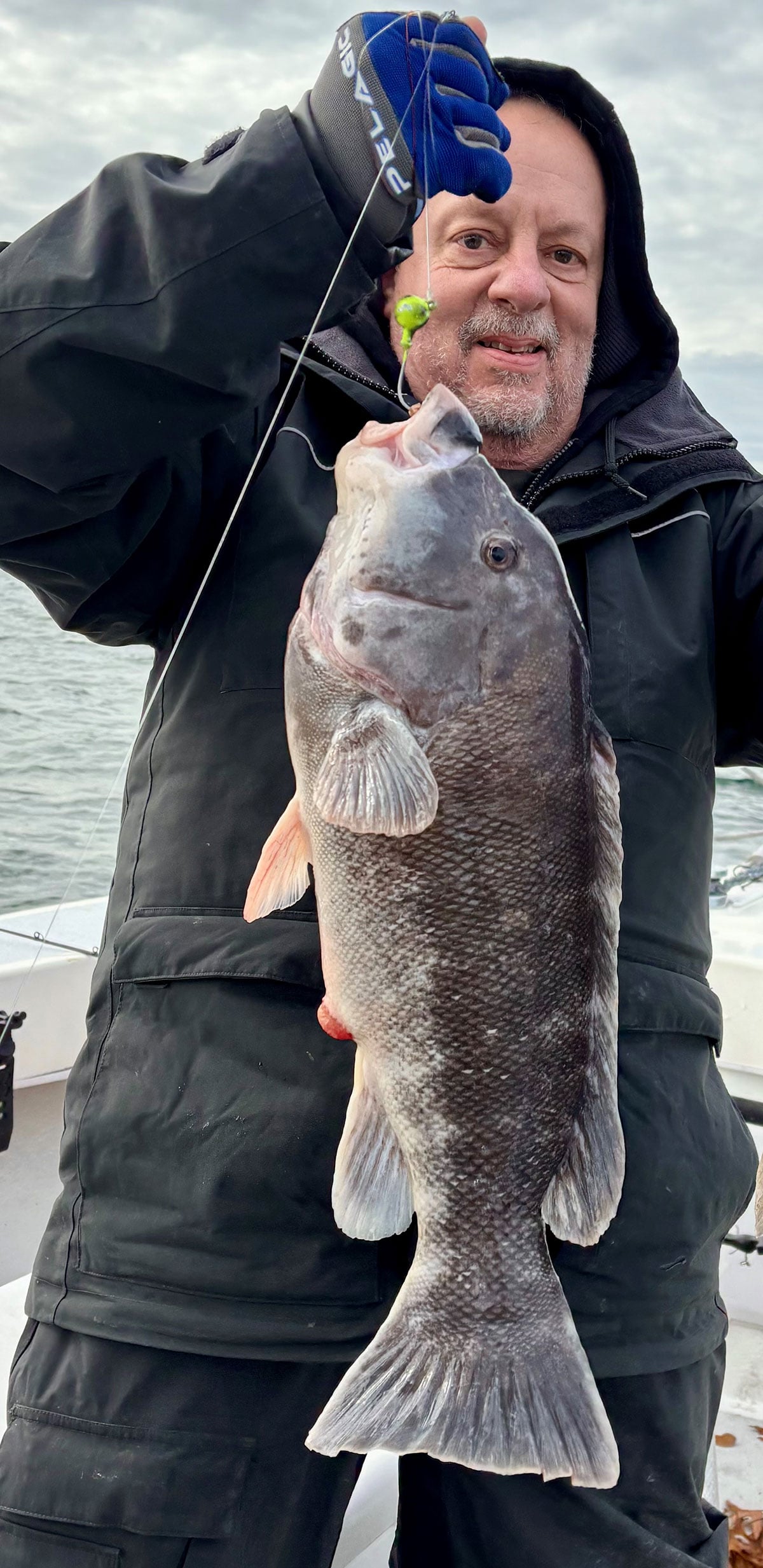 tautog