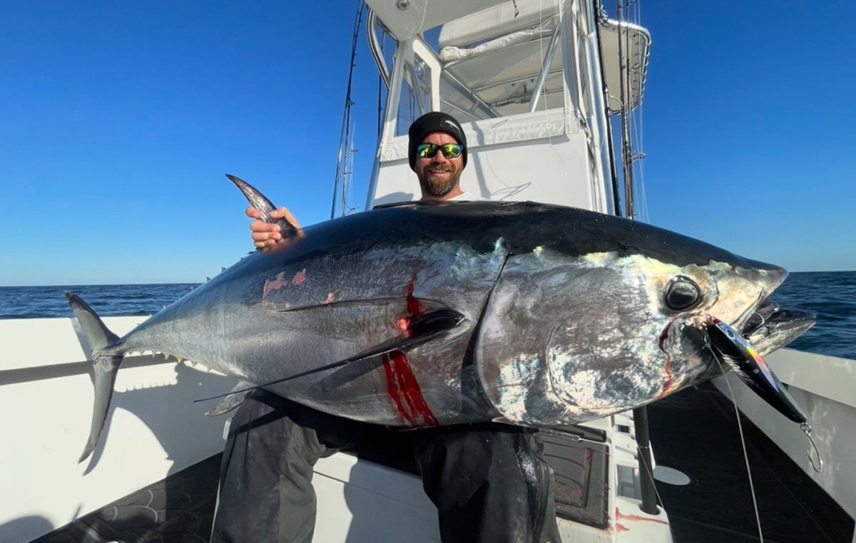 stickbait