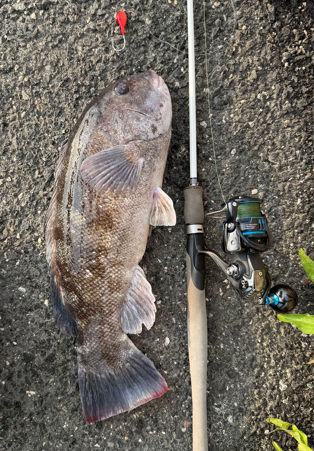 jigs