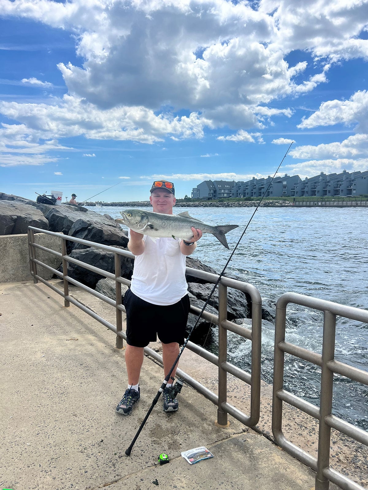 Nick-Greiss-Bluefish