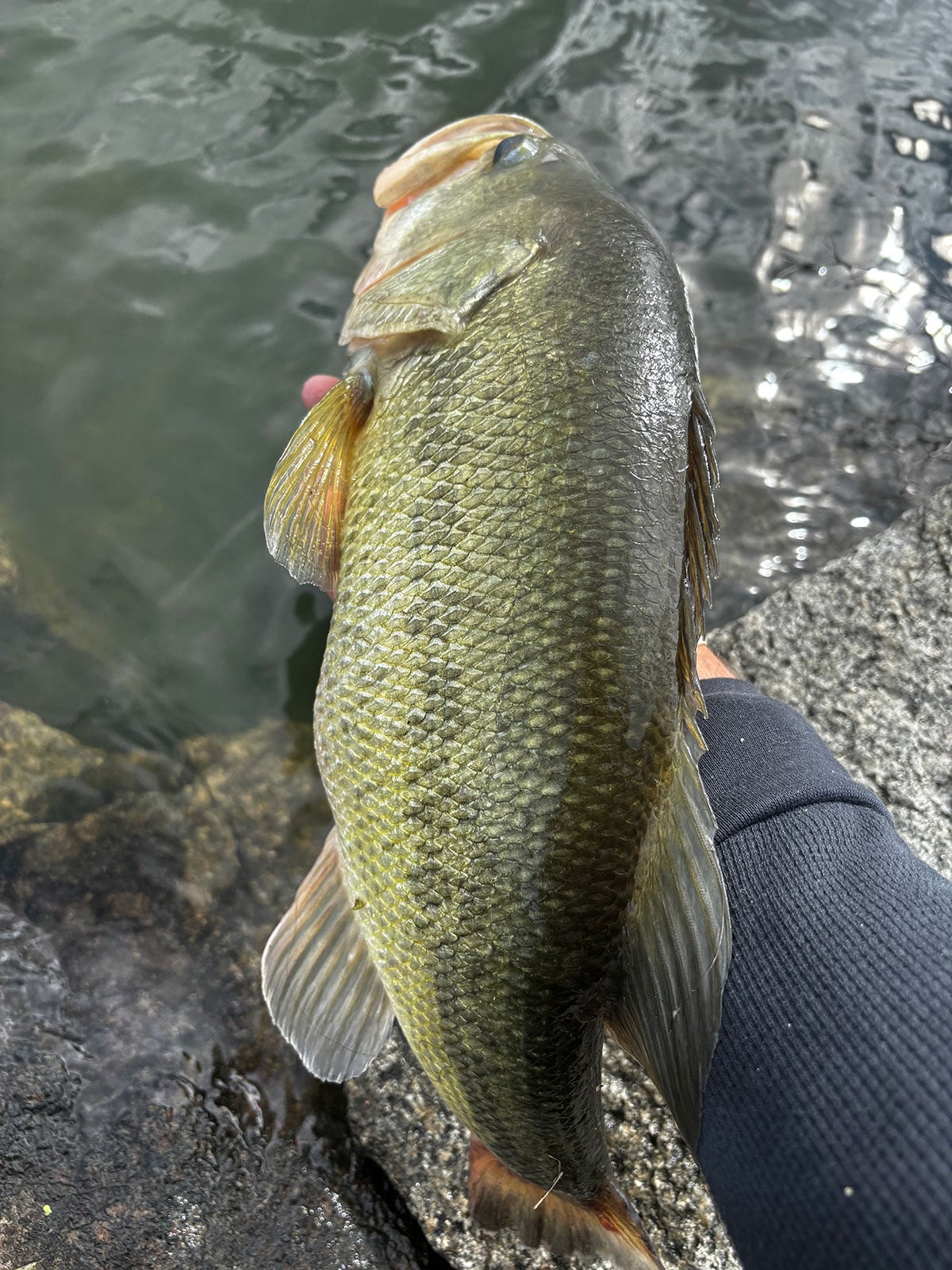 chunk