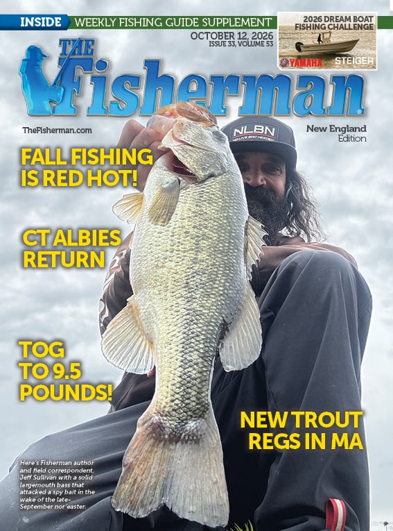New England Current Issue